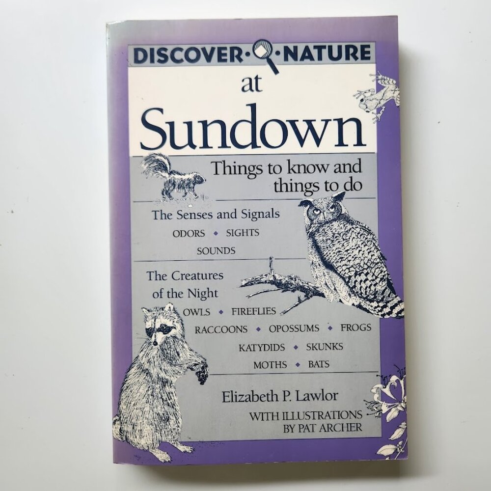 Discover Nature at Sundown Paperback Science Book Nocturnal Animals and Plants